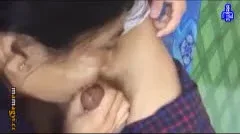 မြန်မာအိမ်တွင်းဖြစ် ဟုမ်းမိတ်လေး